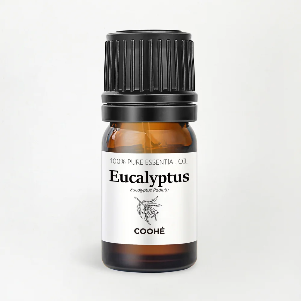 Eucalyptus Essential Oil 5 ml – COOHÉ v:1572455