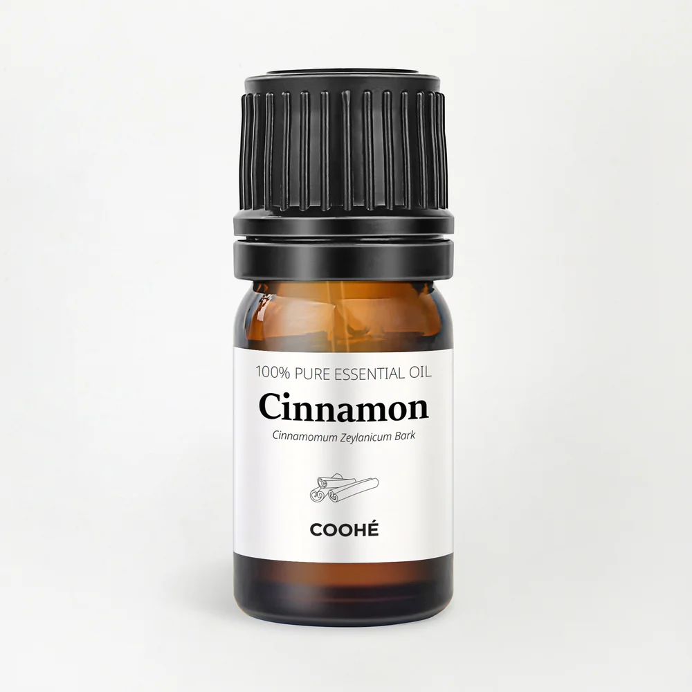 Cinnamon Essential Oil 5 ml – COOHÉ v:1384643