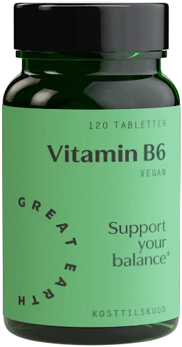 Great Earth Vitamin B6 120 tabletter | B-vitaminer v:2567223
