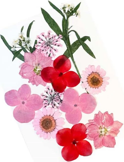 Glitternisti Face Flowers Pink & Greens v:6060093
