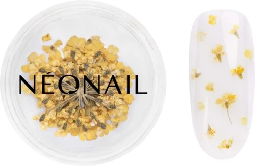 NEONAIL Dried flowers v:6222331 NEONAIL Dried flowers v:6222331