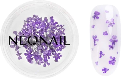 NEONAIL Dried flowers v:6954140 NEONAIL Dried flowers v:6954140